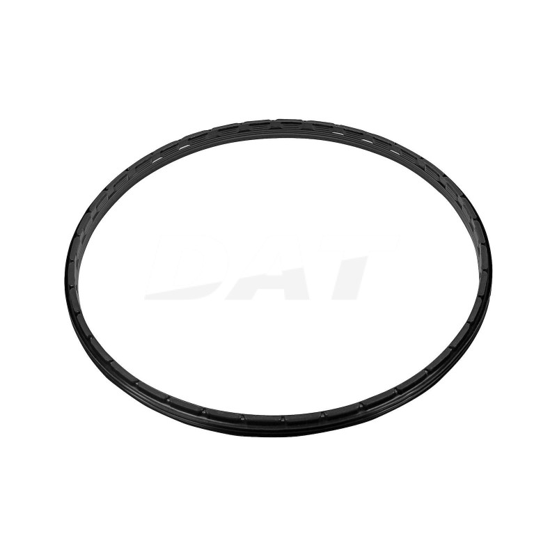 Oil Seal